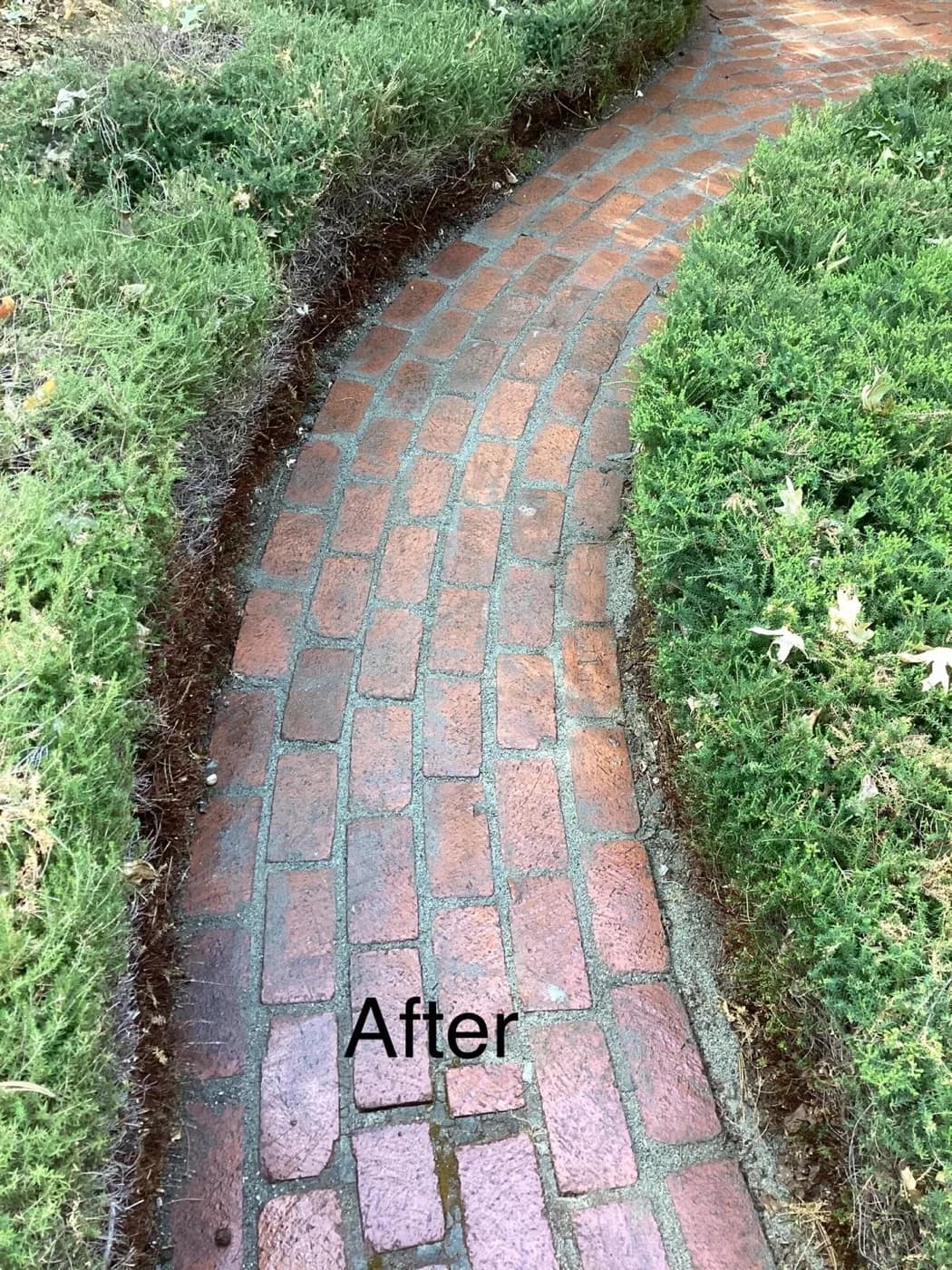 Curved brick walkway reset through a mown lawn with a soil edge