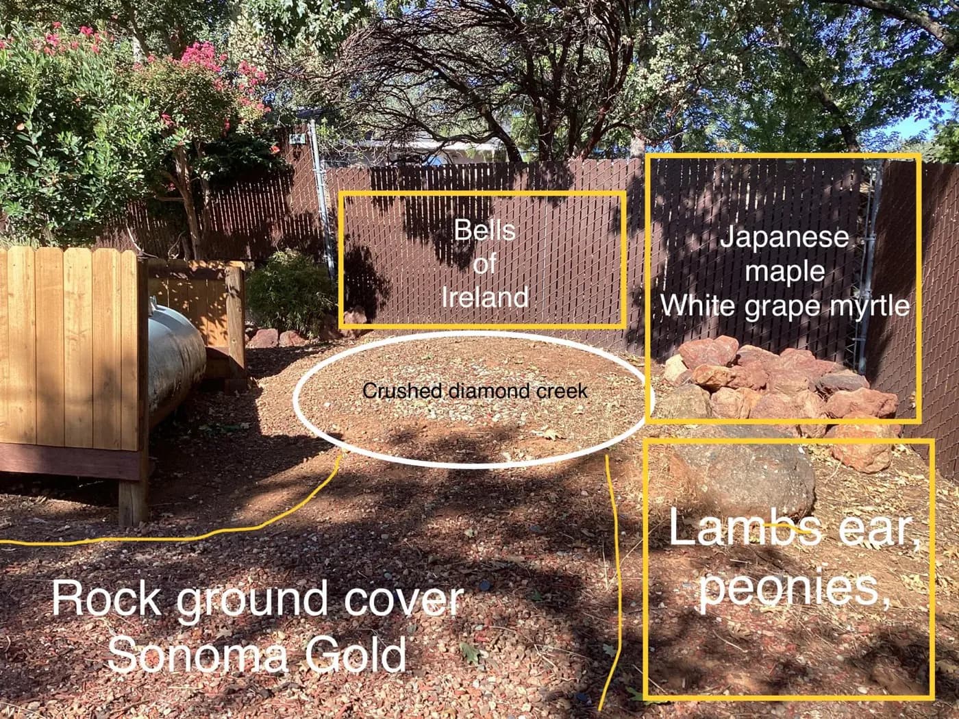 Back yard planting plan marked up on site with plant names and ground cover called out