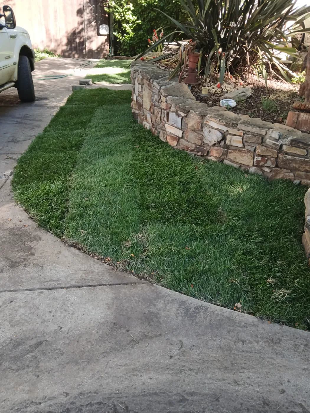 Fresh sod laid in a strip along a driveway beside a stacked stone raised bed